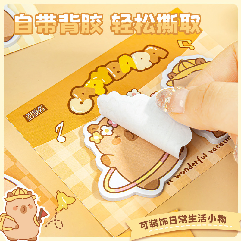 Product view 5