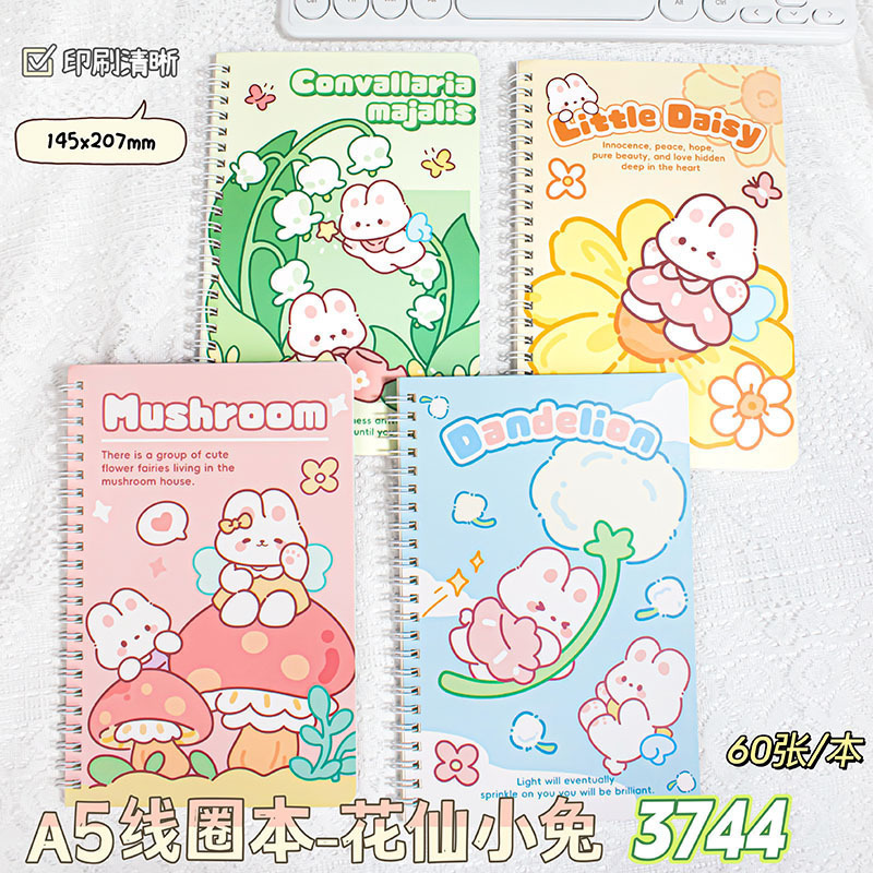 Product view 24