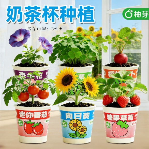 Product view 31
