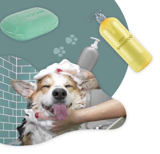 Pet Care Products